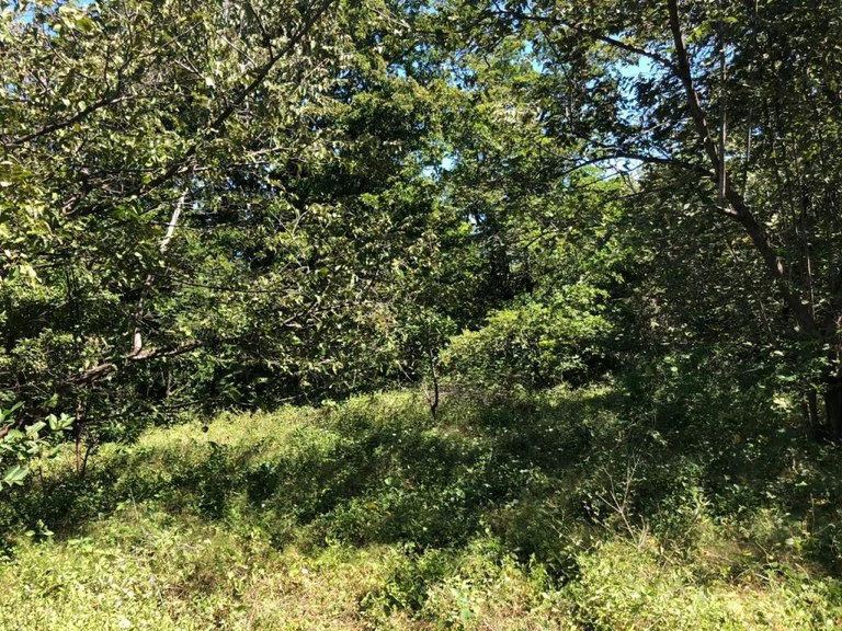 HIGHWAY TO HEAVEN: Commercial potential ! Large property on the Panamerican Highway. - Gallery image 14