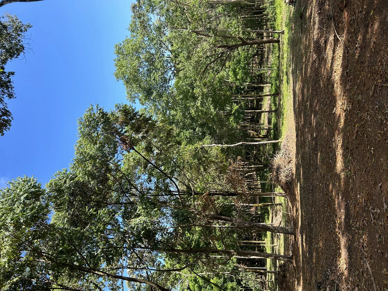 Cabo Matapalo:  3.8 Acre Ocean View Lot In Peninsula De Osa, Golfo Dulce - Gallery image 30