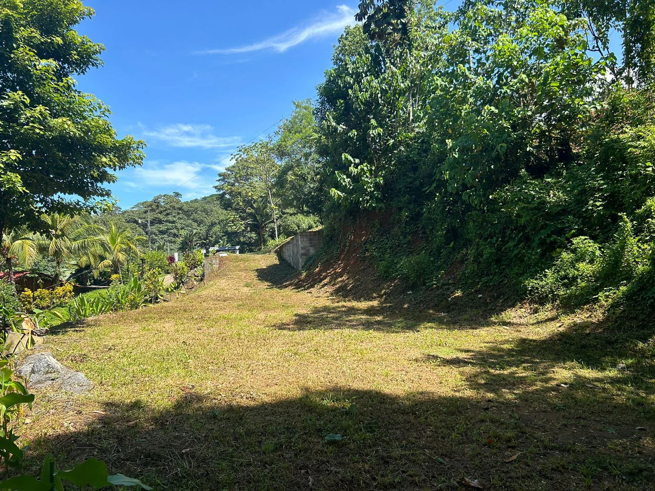 Reasonable Lot for sale in Uvita - Gallery image 3