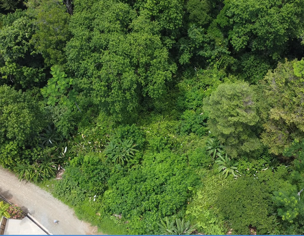 Ojochal - 1 Acre Ready To Build Jungle Lot, Ocean Breezes in Wildlife Corridore - Gallery image 14