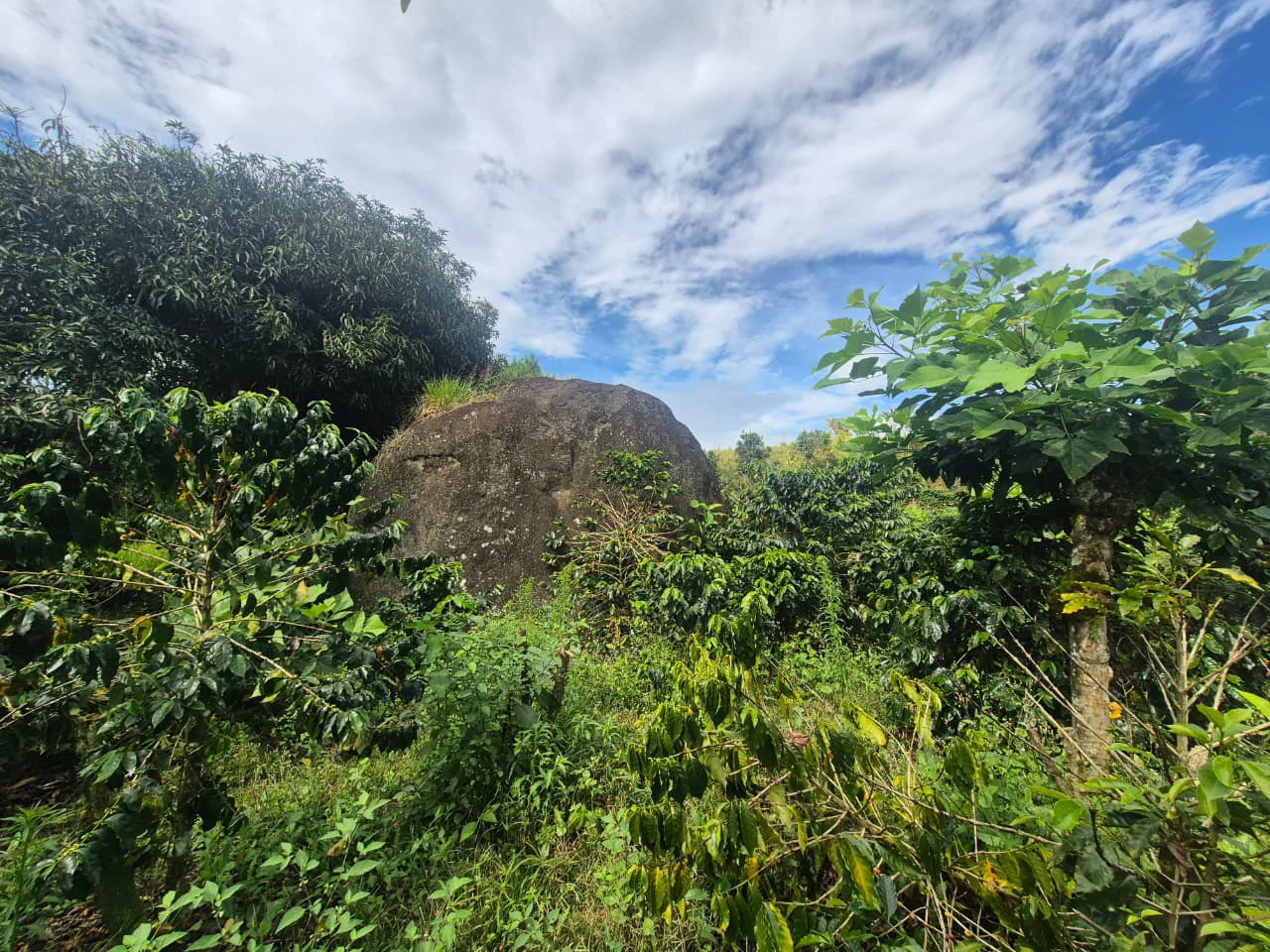 Countryside Agricultural Land For Sale in Santa Elena de San Isidro - Gallery image 8