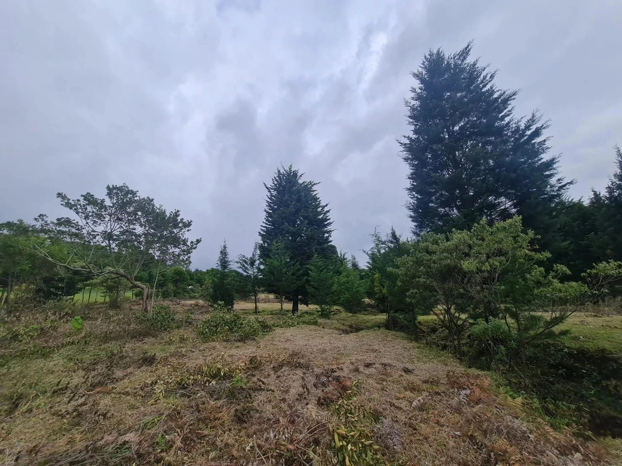 Agricultural Land For Sale in San Isidro - Gallery image 3