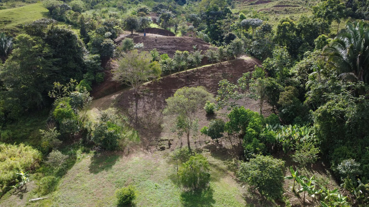 SUSTAINABLE PROPERTY FOR SALE IN THE PRIVACY OF PÉREZ ZELEDÓN, ROSARIO DE PACUAR - Gallery image 5