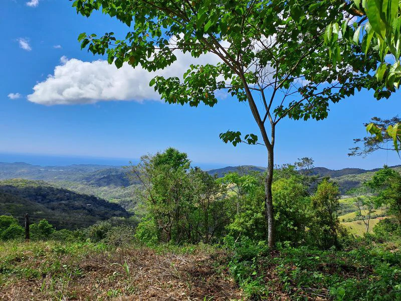 Lote Mirador # 2: Breathtaking Lot with Stunning Ocean Views, Large Building Pad, just 30 minutes from Samara Beach - Gallery image 4