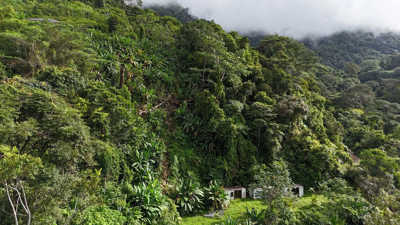 Exceptional Ocean & Mountain View Property in Pinuela Arriba, Costa Rica - Gallery image 10