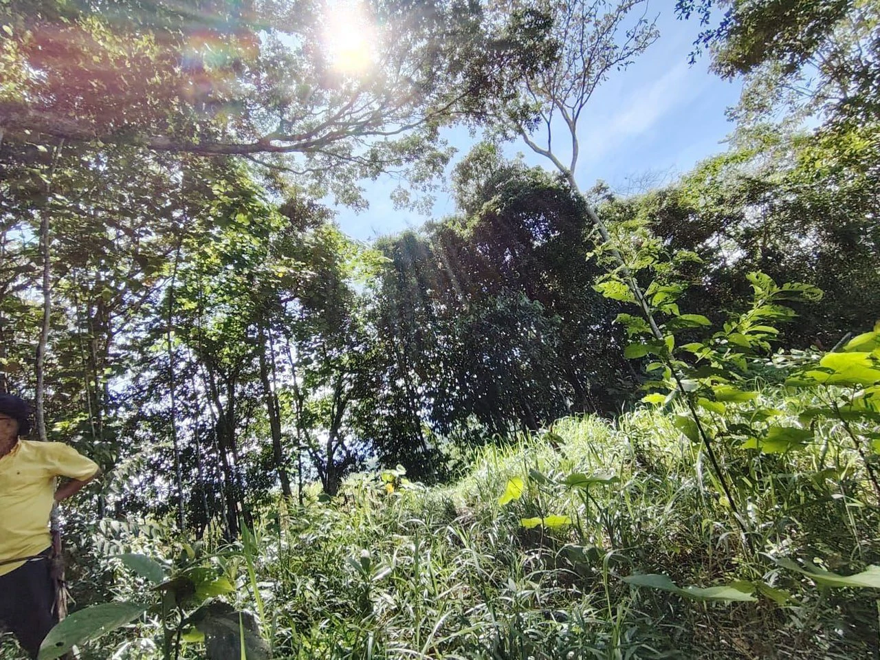 SE VENDE PROPIEDAD EN CAJÓN, COSTA RICA.: Mountain Home Construction Site For Sale in Cajón - Gallery image 11