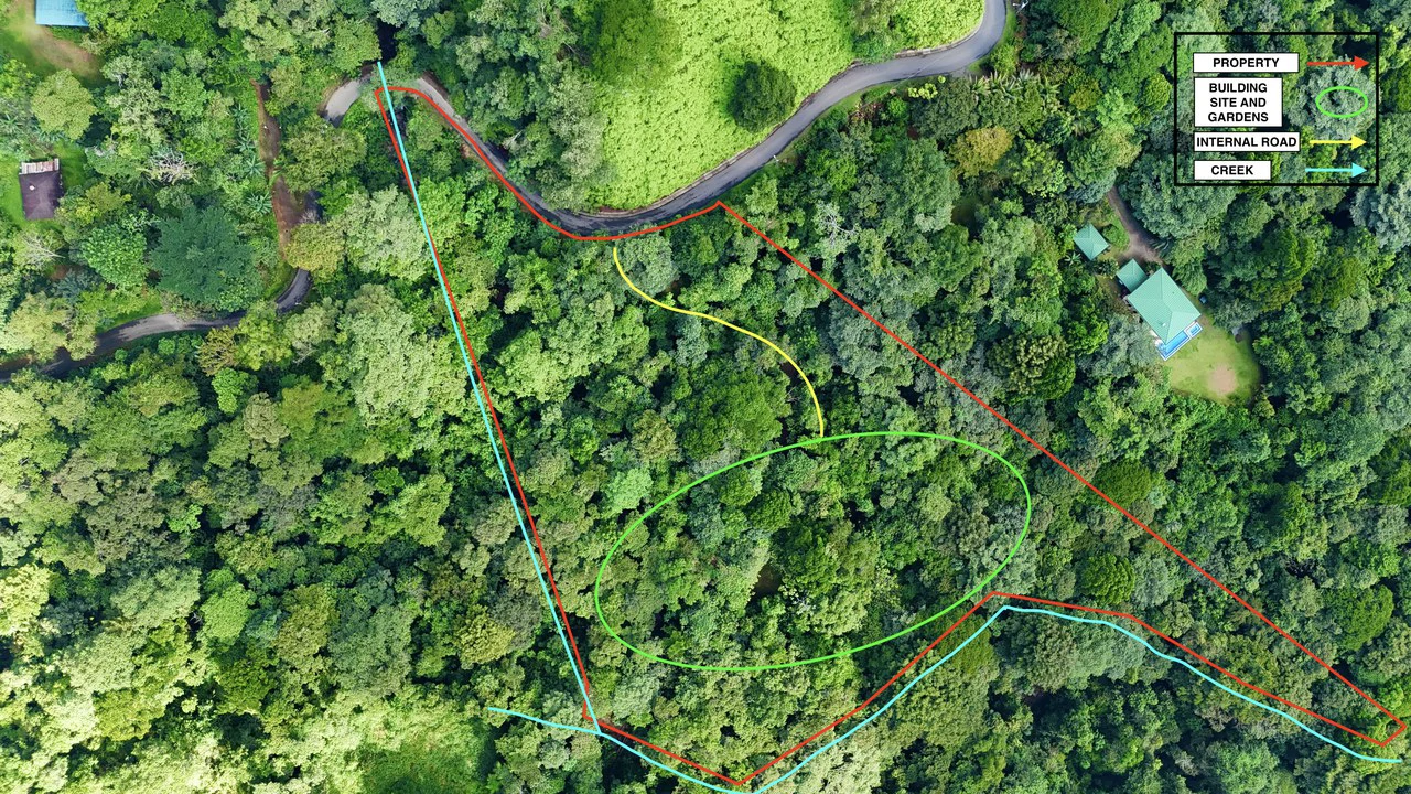 Selva Vista Estate: 5.9 Acres of Wild Beauty