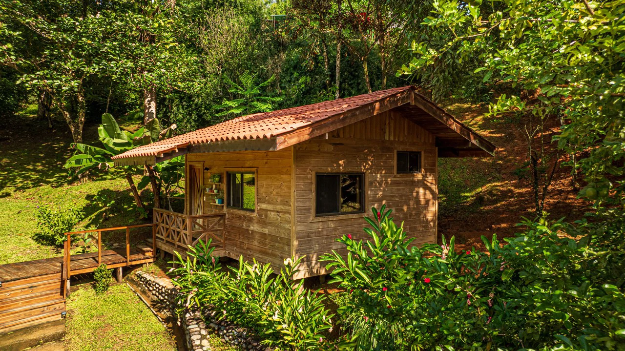 A Jungle House Built of Wood & River Dreams - Gallery image 2