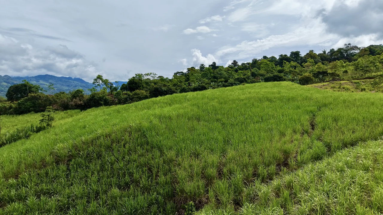 Home Construction Site For Sale in General Viejo - Gallery image 3