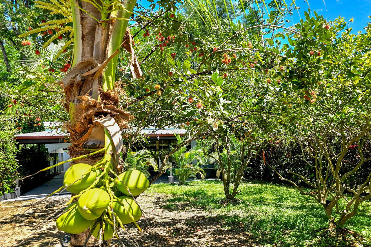 Near the Coast House For Sale in Uvita - Gallery image 20