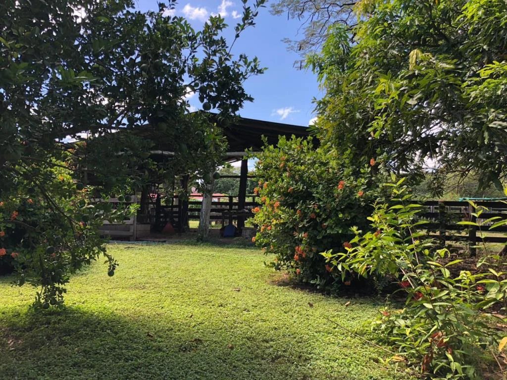 Huge dream Cattle farm for sale with 2 houses close to the Gulf of Nicoya, Guanacaste, Costa Rica - Gallery image 21