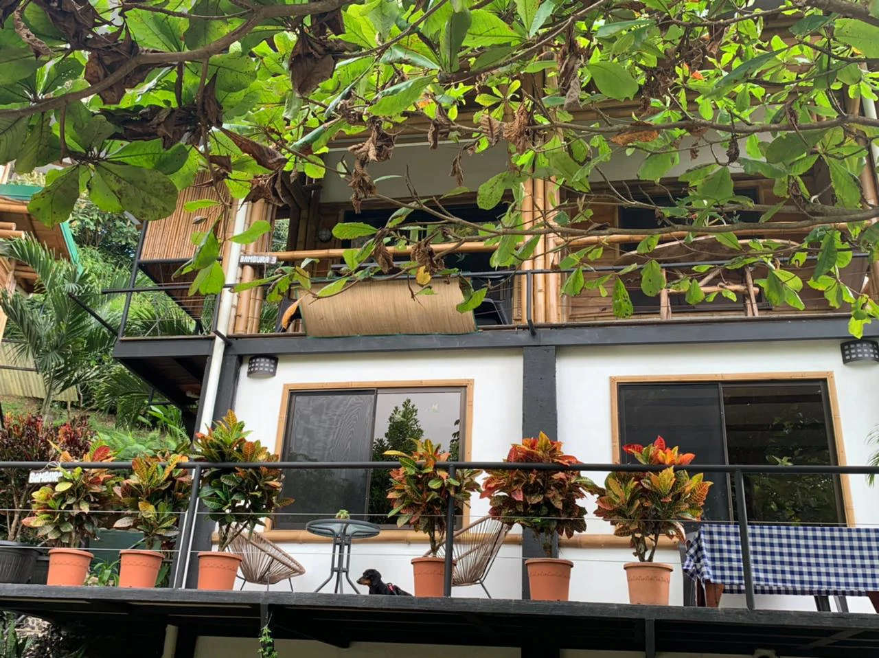 Cabinas Bambura: Cabinas Bambura: Successful Airbnb Business with Stunning Mountain & Jungle View - Gallery image 15