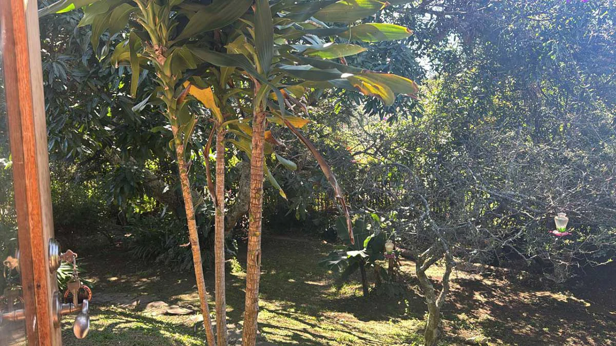 ID 3084:: 5 Bedroom Panoramic View. Home with Pool and Guest Apartment for Sale in Escazu - Gallery image 11