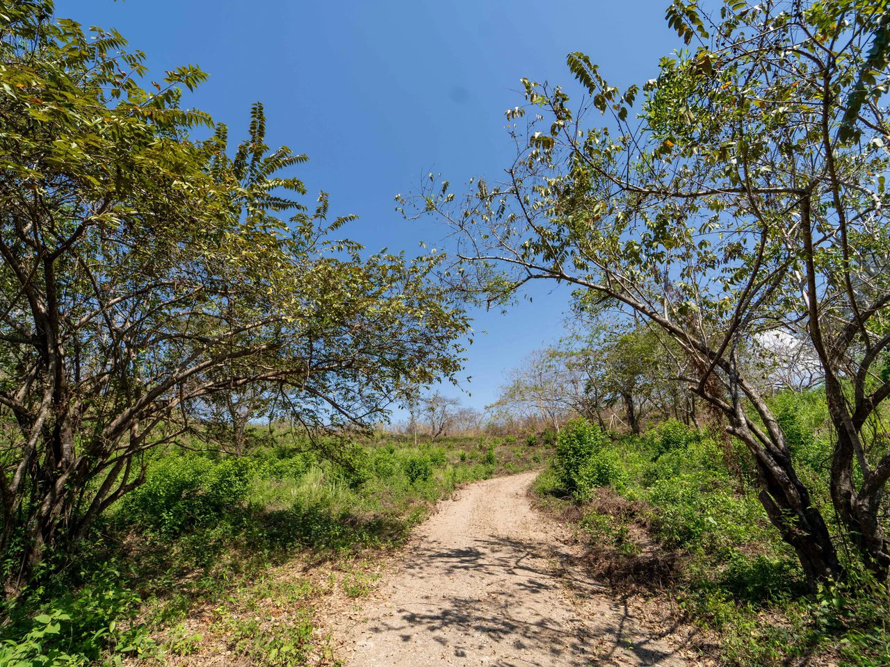 Finca Punta Indio: Dream Investment Opportunity - Gallery image 7