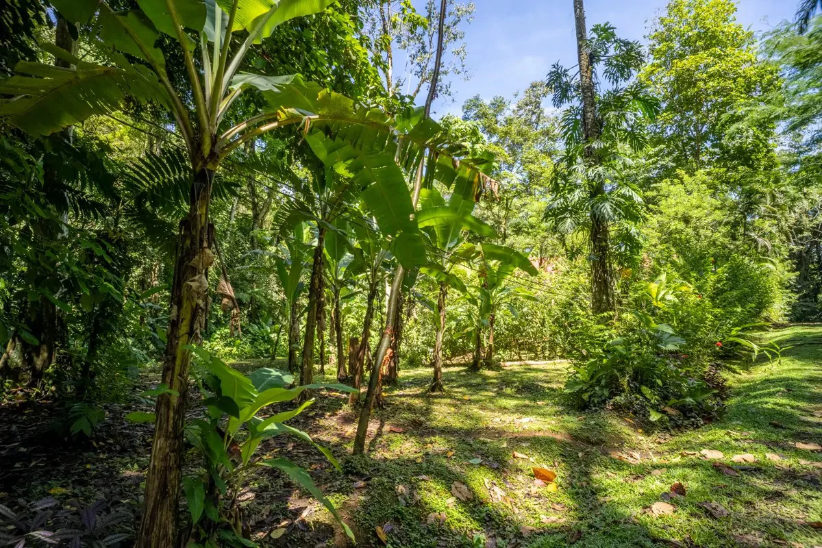 ID 26: 2 BD/2 BA Private Jungle Chalet in a Gated Community Near Hone Creek - Gallery image 7