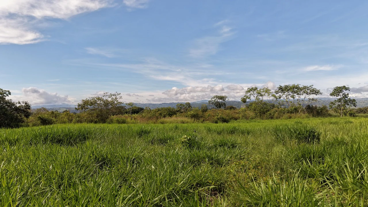 Home Construction Site For Sale in El Pilar - photo 7