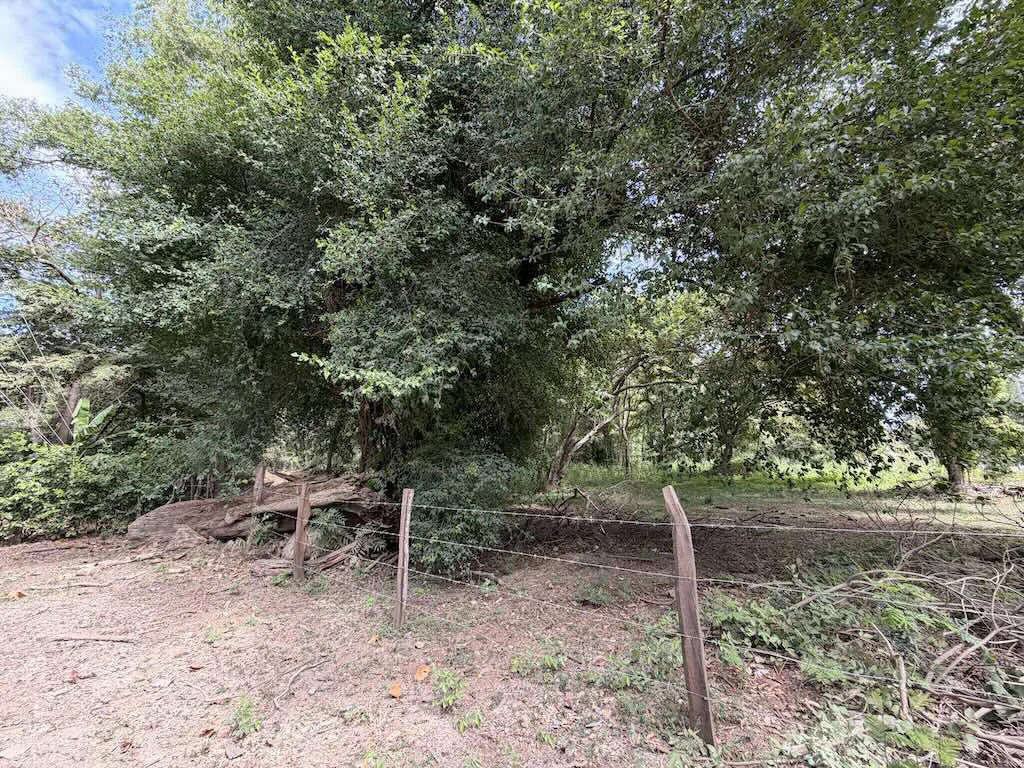 Build-Ready Lot: Palm Beach Estates - photo 2