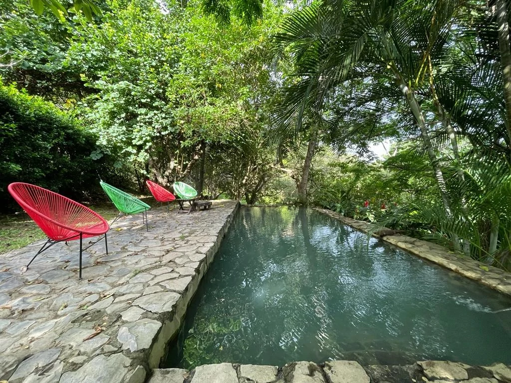 Countryside and Mountain Property For Sale in Curubandé - Gallery image 15