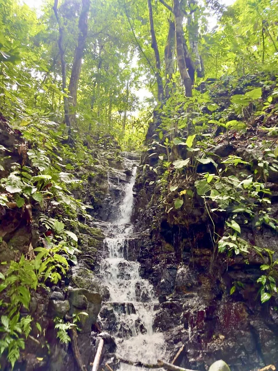 Spring and Waterfall!  3,2 Acres lot in Uvita Mountains - Gallery image 11