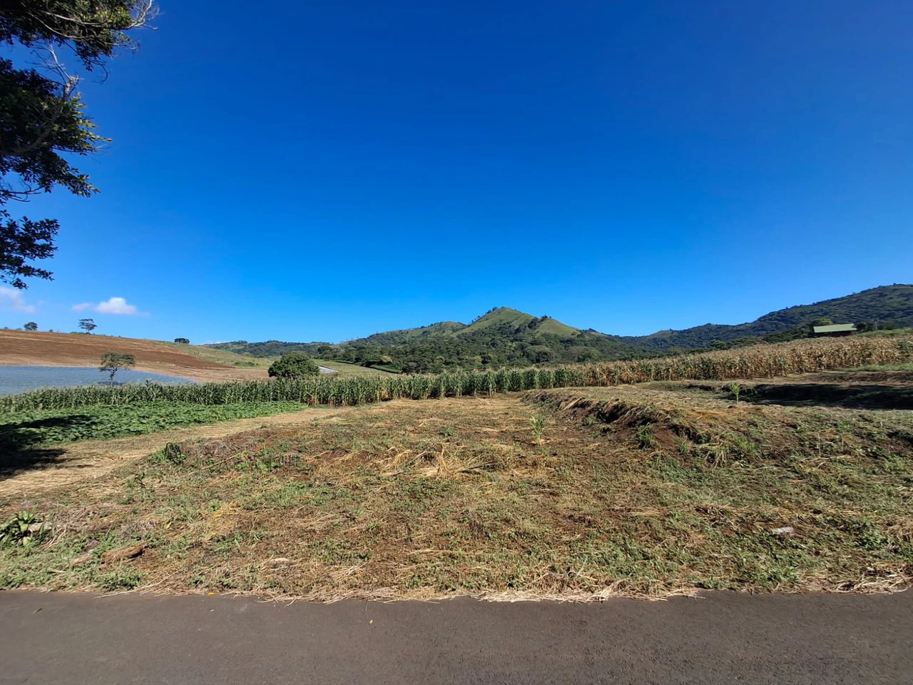 Attn: Developers!: 10 ha Prime Development Land Near Booming Free Zone Corridor - Gallery image 7