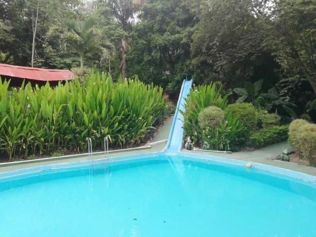 Hotspring Resort for sale in Salitral, Cold and Warm spring swimming pools surrounded by teak and eucalyptus rustic cabins - Gallery image 2