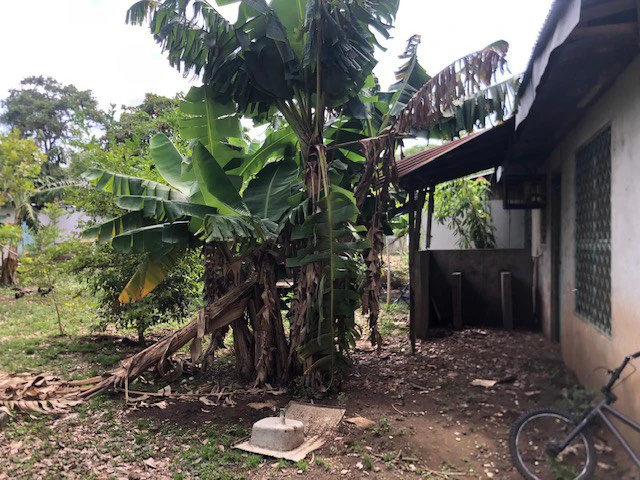 Great Opportunity - Commercial Property in Coco Beach - Gallery image 10