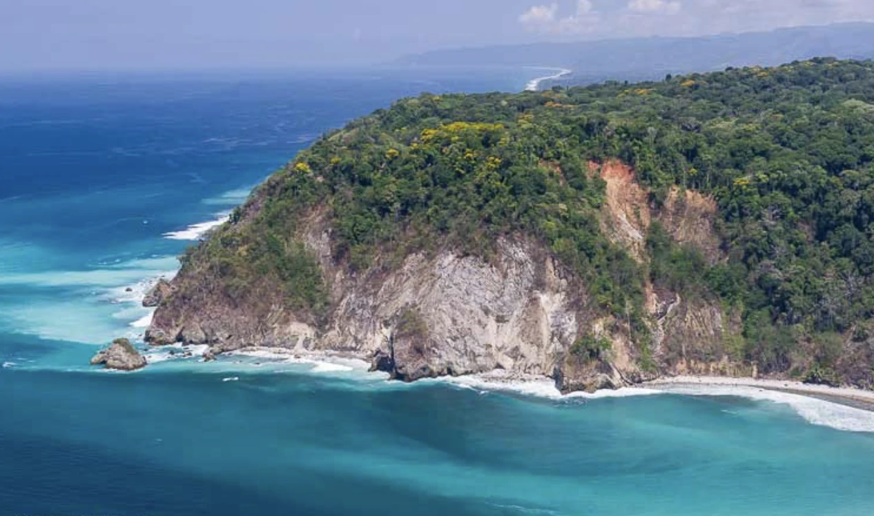 Cabo Matapalo:  3.8 Acre Ocean View Lot In Peninsula De Osa, Golfo Dulce - Gallery image 44