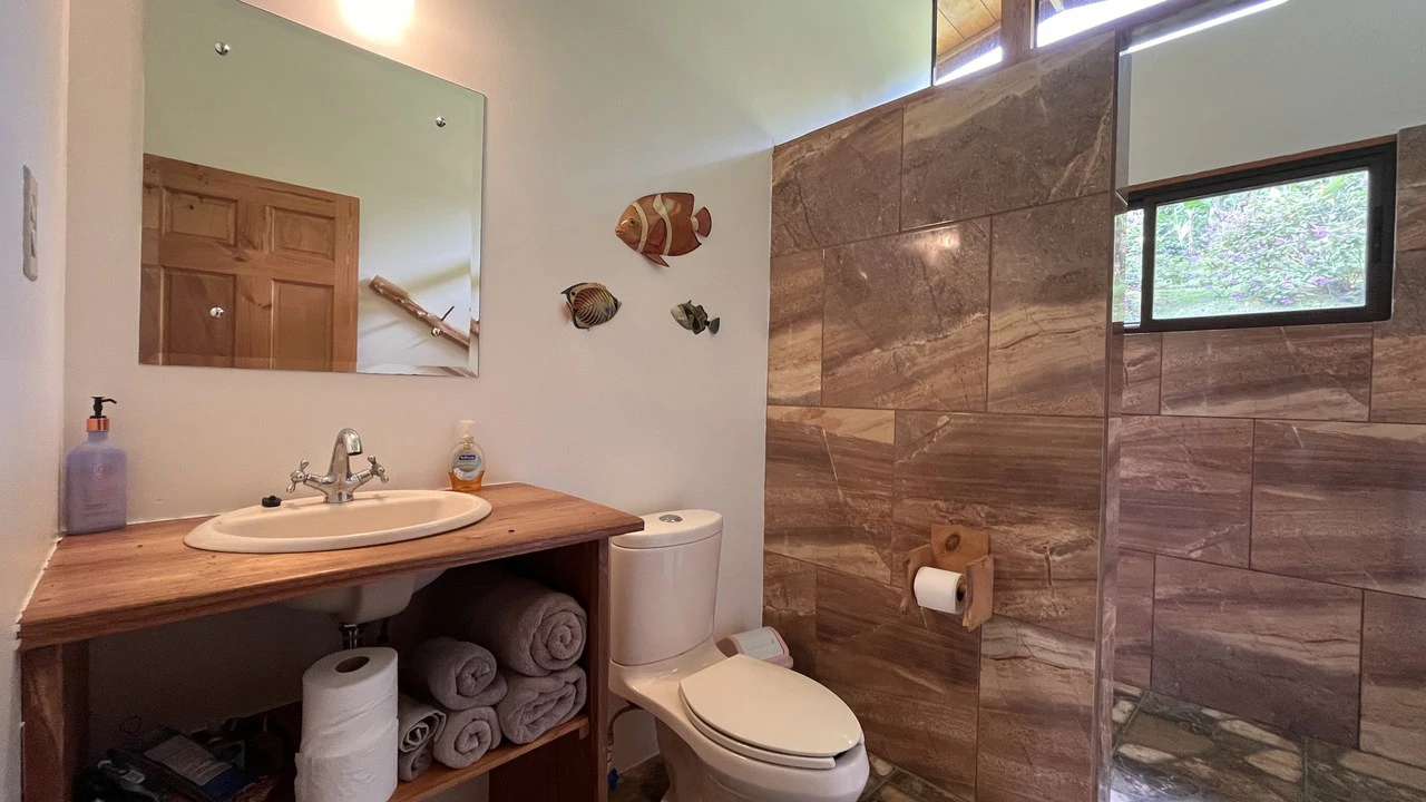 Mountain House For Sale in San Isidro del General - photo 27
