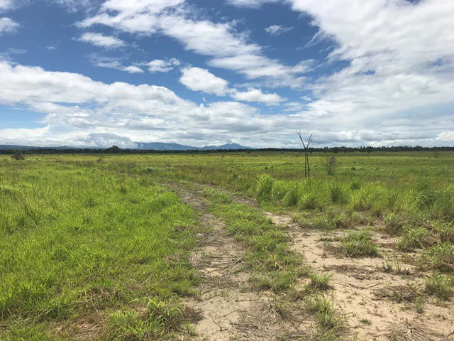 NYA project Price $ 17 m². 21 hectares - Gallery image 9