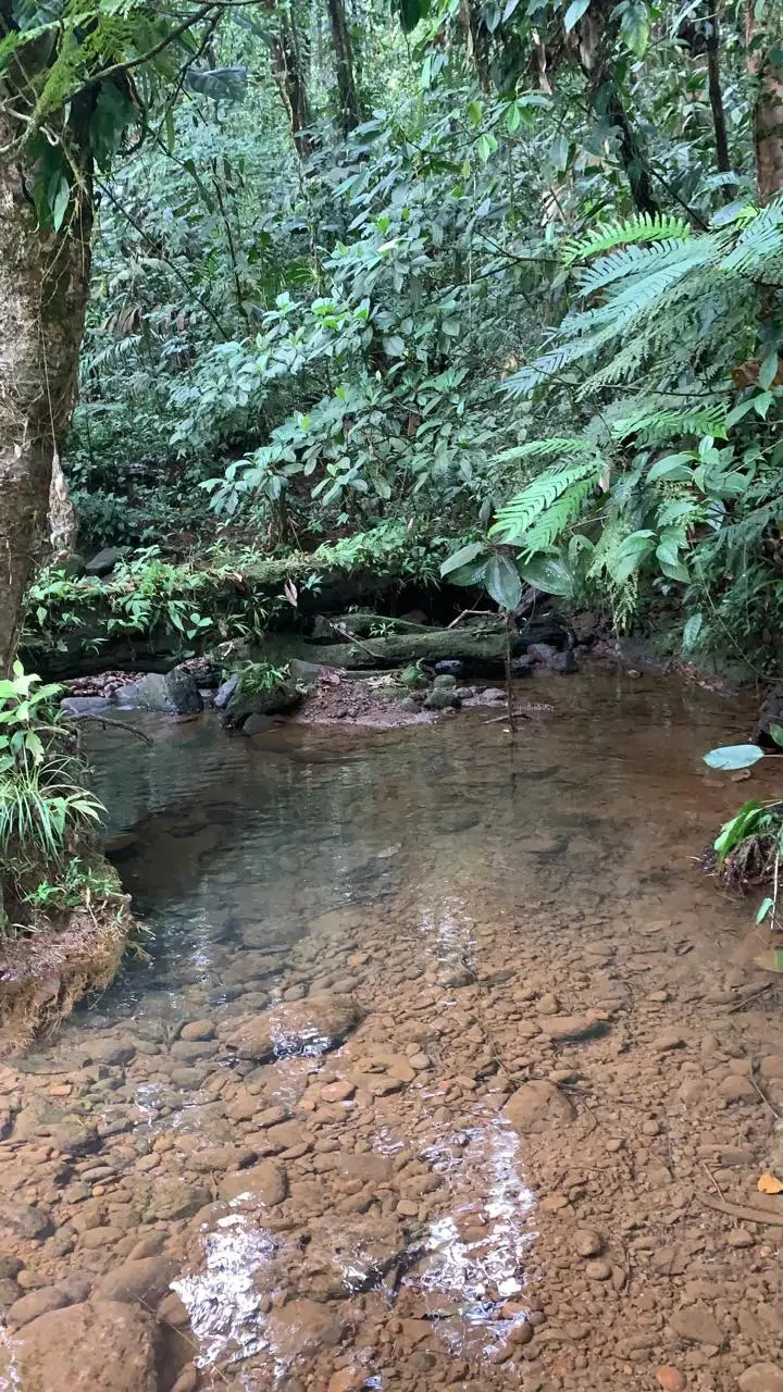Expansive 83-Hectare Agricultural & Ranch Land in Sarapiquí, Heredia - Gallery image 8