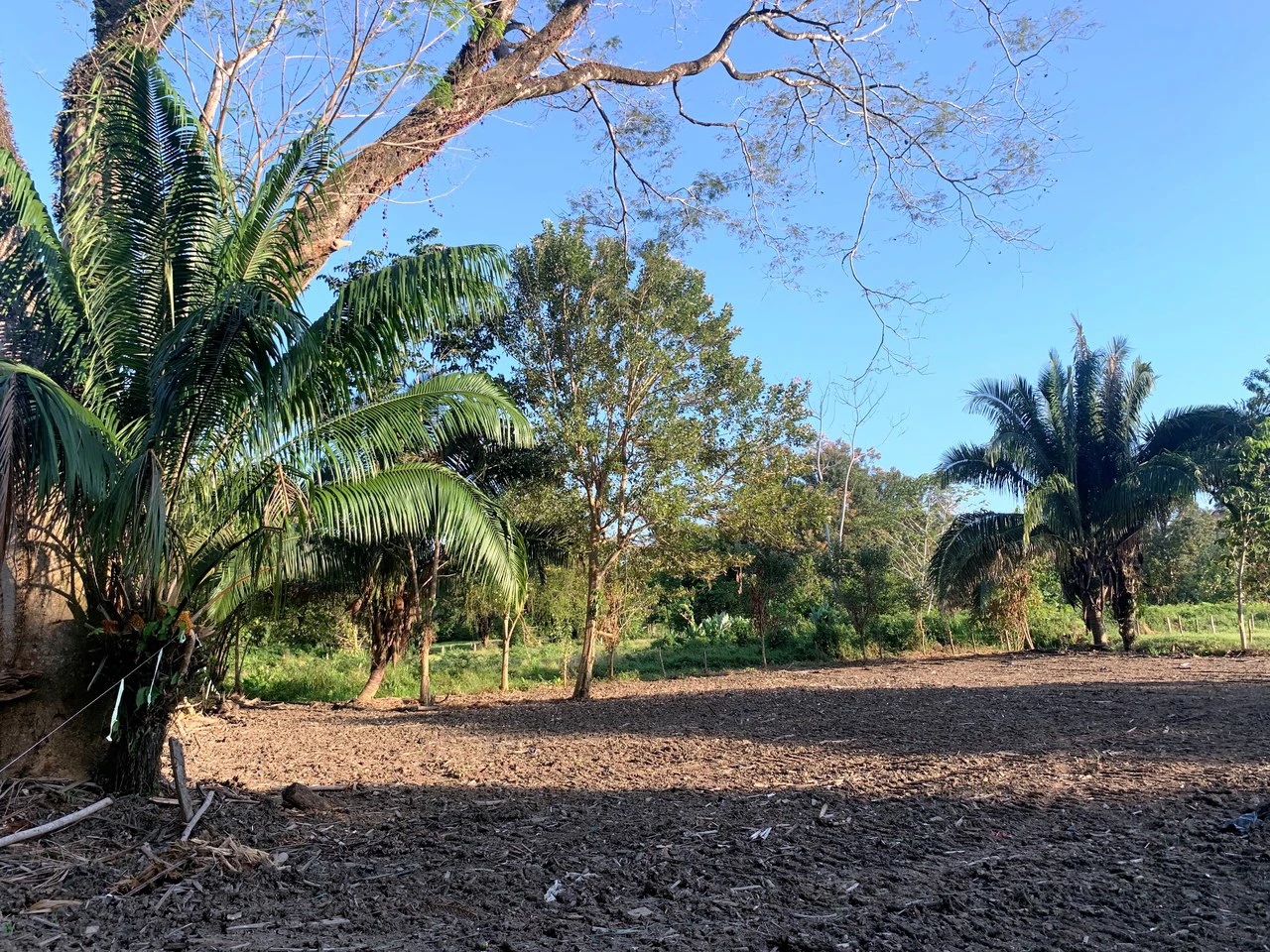 Prime Oceanside Commercial and Residential Lot in Playa Hermosa - Gallery image 15