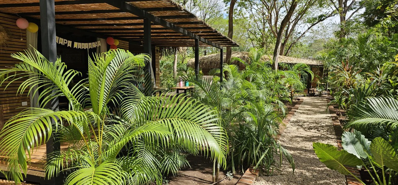 Successful Wellness and Spa with restaurant: One Of A Kind, Successful Wellness, Spa And Restaurant Oasis Close To Tamarindo - Gallery image 11