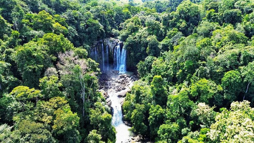 2.5 Acre Jungle and Valley View Home site in Dominical - Gallery image 6