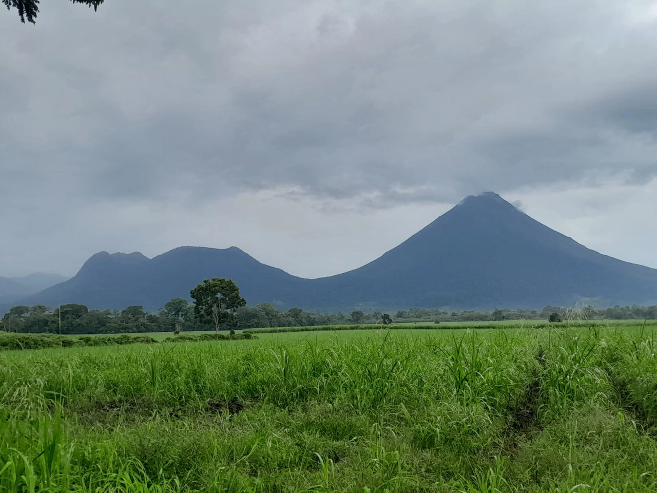 La Fortuna (Arenal) Opportunity!: 4 ha in La Fortuna Tourist Hotspot! USO: Hotel | Commercial | Mixted - Gallery image 6