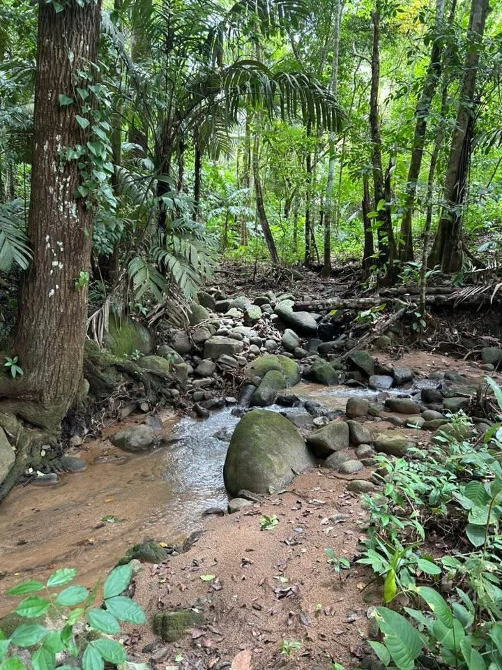 River Frontage Lot For Sale in Costa Rica Residential & Commercial Zoning - Gallery image 13