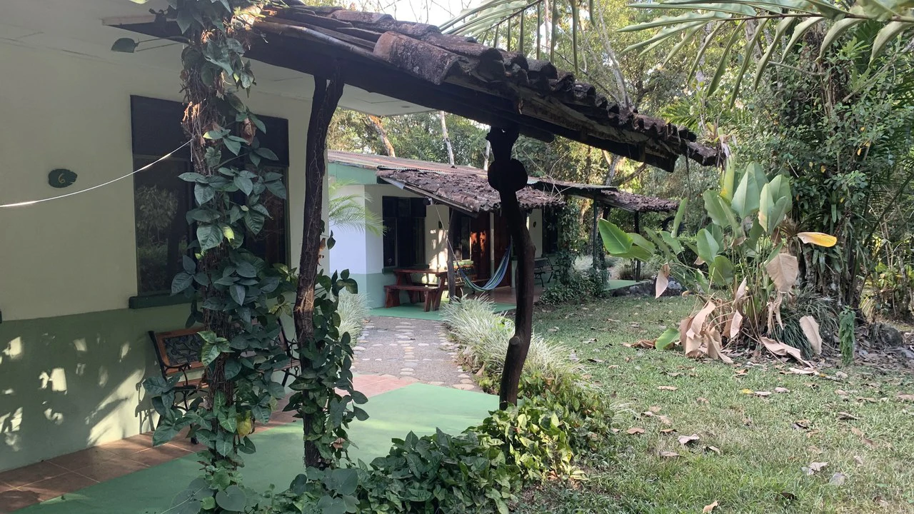 Talari Hotel: Nature and Bird Lover's Paradise - Mountain Lodge - Gallery image 15