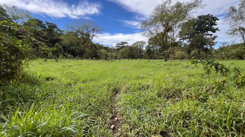 Mountain Home Construction Site For Sale in San Isidro del General - photo 5
