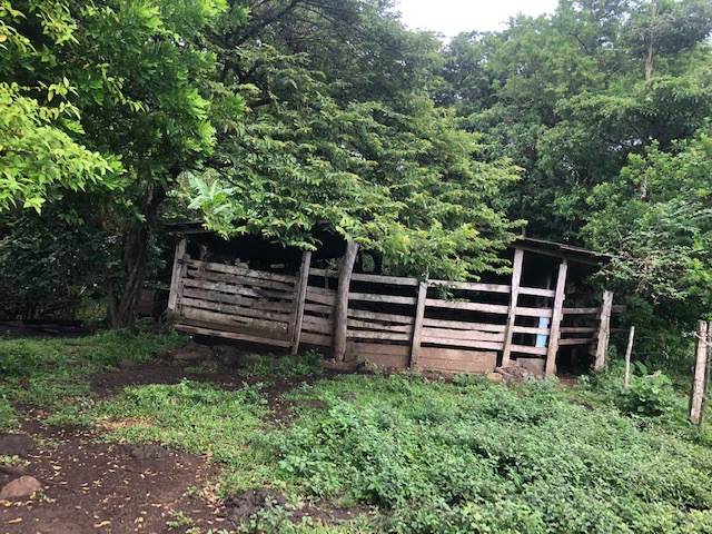 Warm Spring Mountain Property in a tropical landscape and antique wooden house,  50 minutes from Liberia city - Gallery image 13