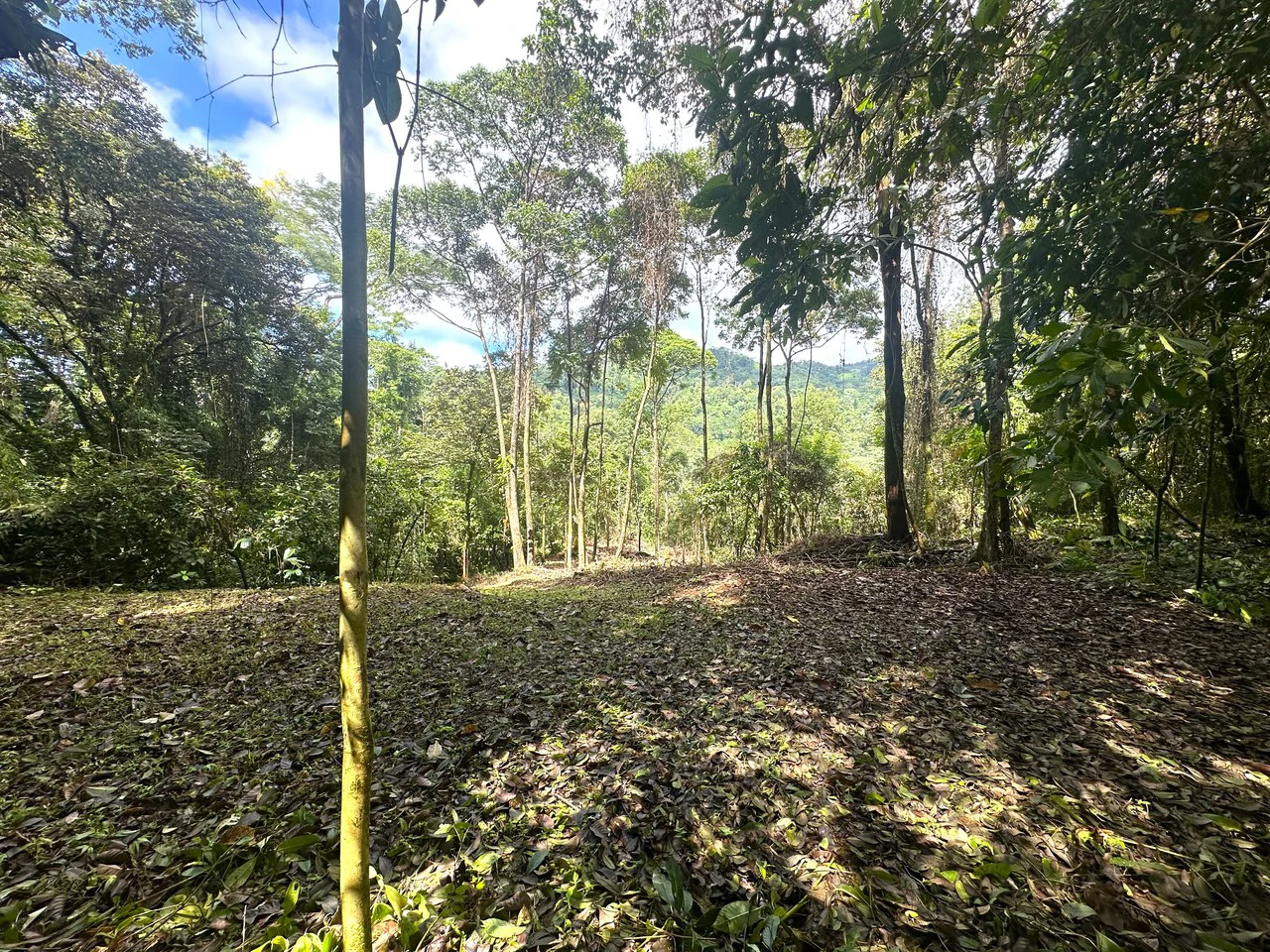 Mountain View Building Lot in Prestigious Gated Community With Private Waterfall & Two Building Sites: Mountain Home Construction Site For Sale in Portalon - Gallery image 23