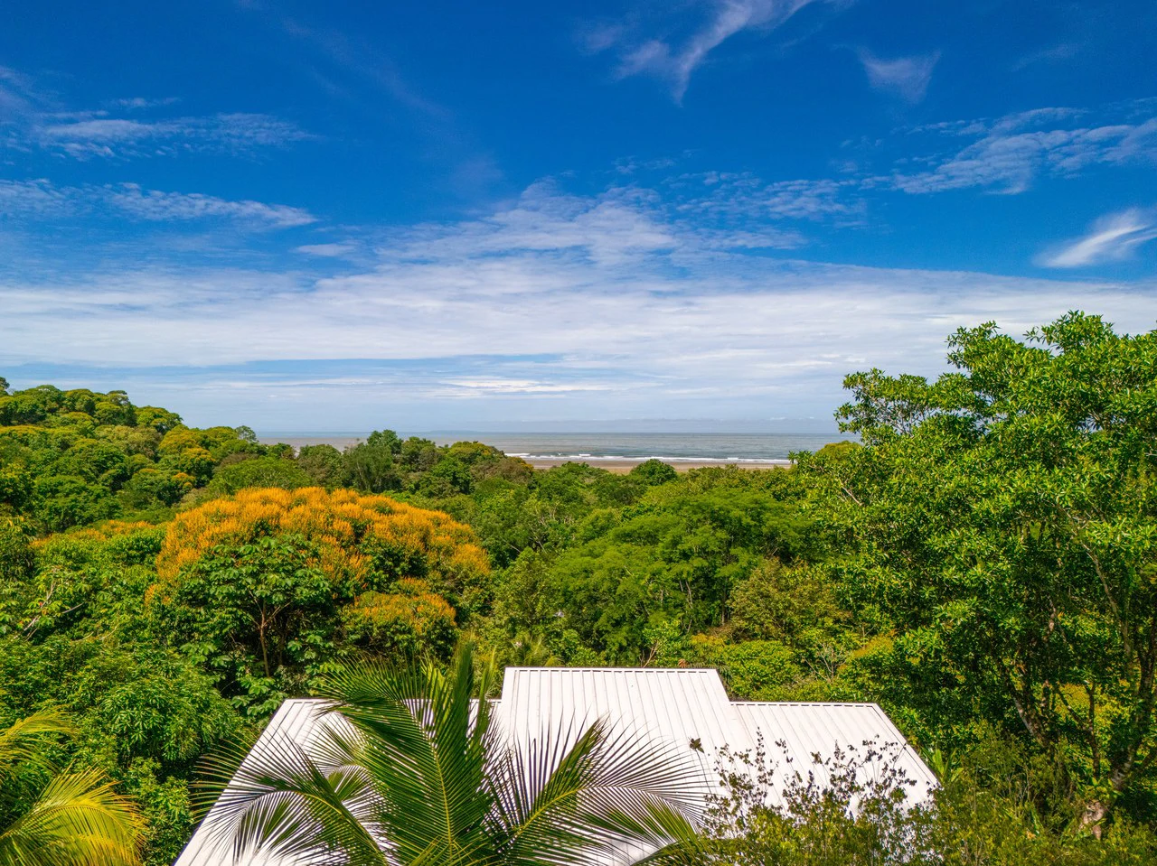 Casa Chiquita: Ocean View Retreat in the Heart of Ojochal – 3 Bed, 3 Bath with Pool, Fruit Trees & Prime Location - Gallery image 6