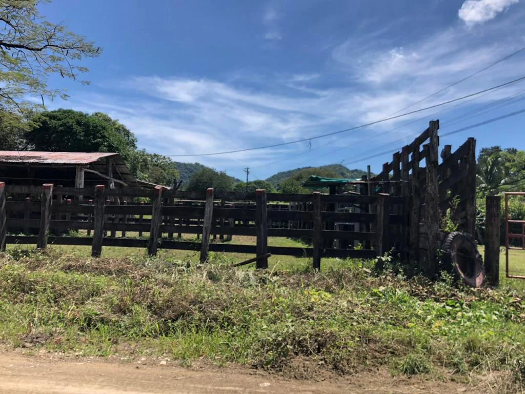 Huge dream Cattle farm for sale with 2 houses close to the Gulf of Nicoya, Guanacaste, Costa Rica - Gallery image 20