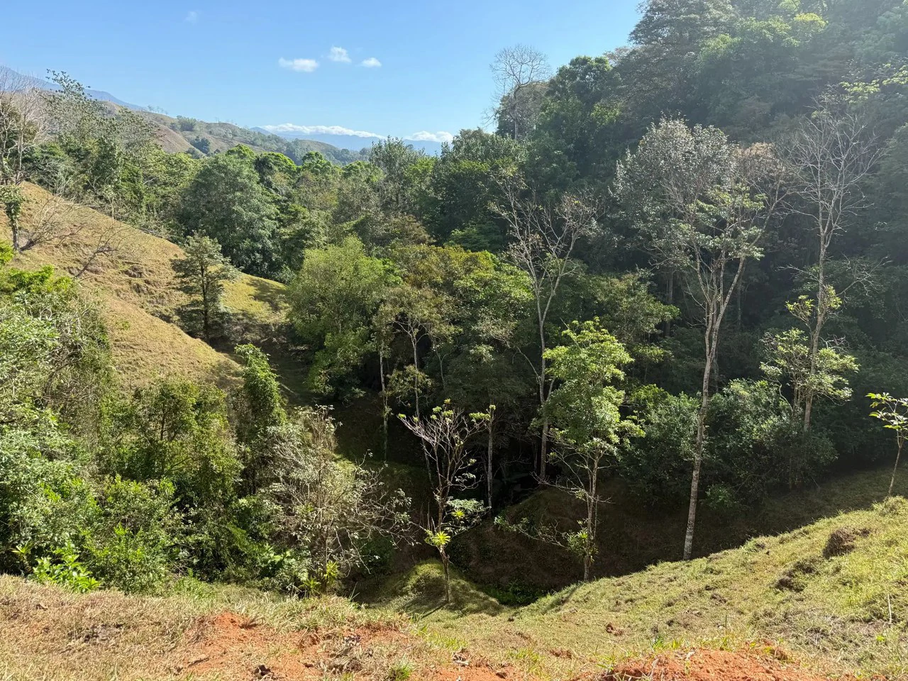 11.4 Hectare Mountain Estate: Lush Forest, River & Farm Potential in Arenal Puriscal , San Jose - Gallery image 29