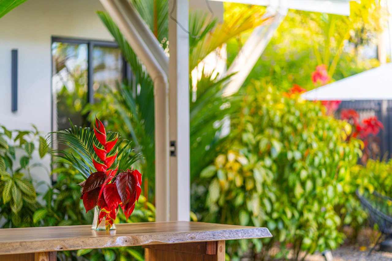 Income Ready Boutique Investment near Whale's Tail Beach - Gallery image 50