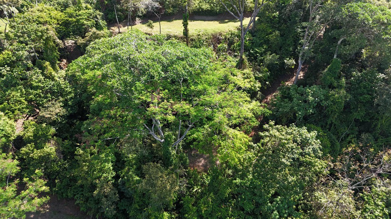 The Crown Jewel Ocean View Lot Hatillo - Gallery image 15