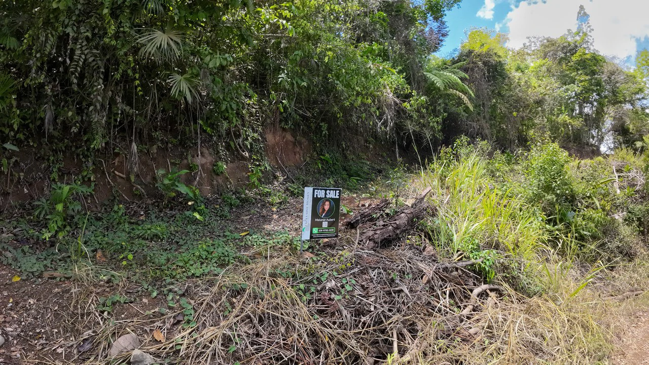 Ocean View Investment Opportunity - Gallery image 18