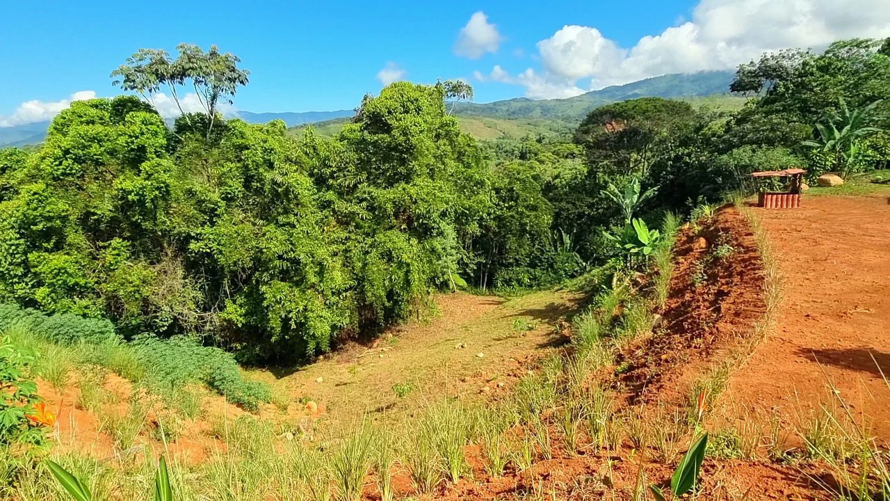 Lot for sale in sta Elena: UNIQUE AND AWESOME OPPORTUNITY: 1-HECTARE RIVERFRONT LOT FOR SALE IN THE HEART OF SANTA ELENA - Gallery image 6