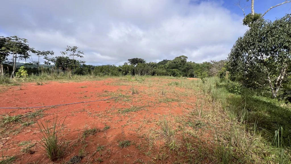 Mountain and Countryside Agricultural Land For Sale in Platanares - photo 14