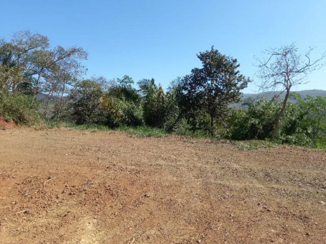 Building Lots for sale in a pristine and peacefull woodland 3 km from Samara Beach - Gallery image 6
