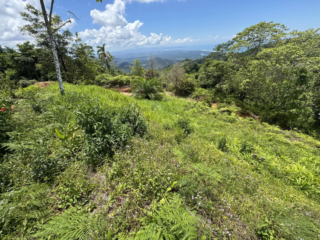 Ocean View Homesite with Panoramic Coastline Vistas in Ojochal - Gallery image 5