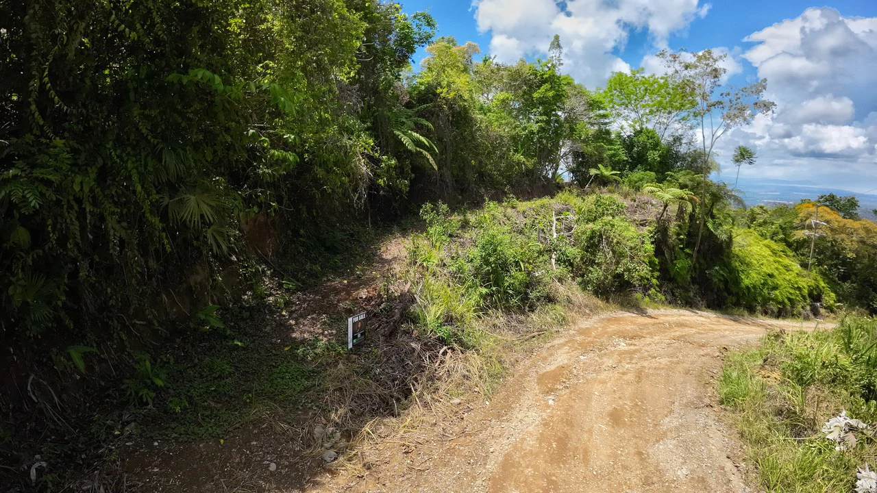 Ocean View Investment Opportunity - Gallery image 3